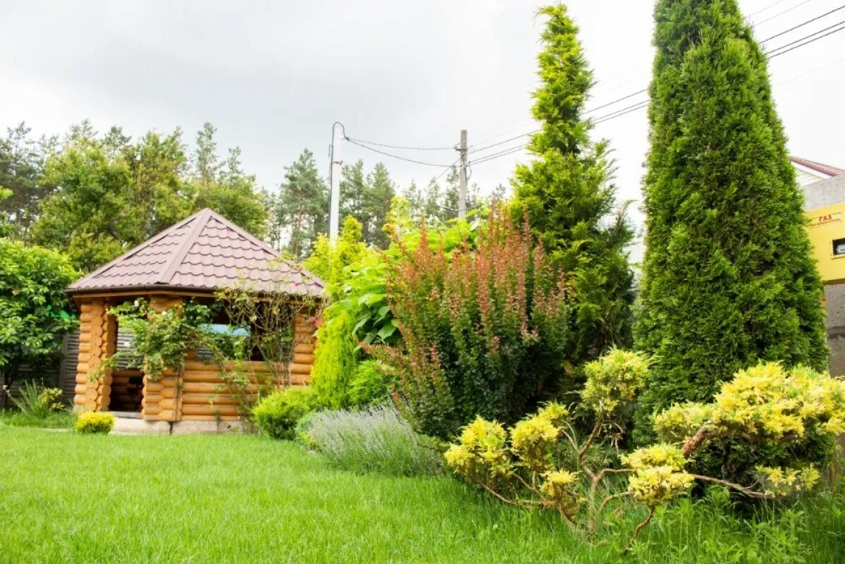 https://yuzhno-sahalinsk.tgv-stroy.ru/storage/app/uploads/public/637/ef4/fb3/637ef4fb3605f391429275.png
